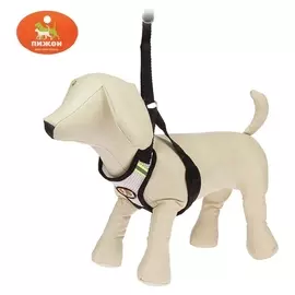 Шлейка регулируемая дышащая, светоотражающая, размер XL, черная