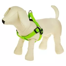 Шлейка светящаяся на батарейках, M, зелёная