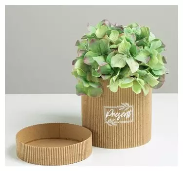 Шляпная коробка из микрогофры Present, 12 х 12 см