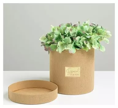 Шляпная коробка из микрогофры Special For You, 15 х 15 см