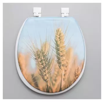 Сиденье для унитаза «Полюшко», 40×37 см