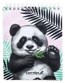 Скетчбук на гребне "Панда", твёрдая обложка, А6, 80 листов