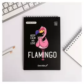 Скетчбук с черными листами "Flamingo", А5 40 листов