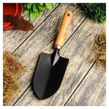 Совок посадочный, длина 27 см, ширина 7 см, деревянная ручка