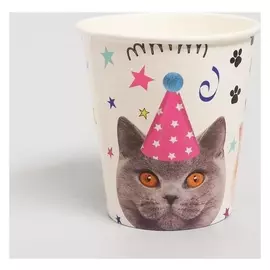 Стакан бумажный «Котики», набор 6 шт., 250 мл