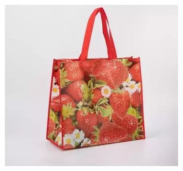 Сумка хозяйственная, отдел без молнии, цвет красный