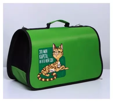 Сумка - переноска раскладная «Это моя карета» 43х27х20 см