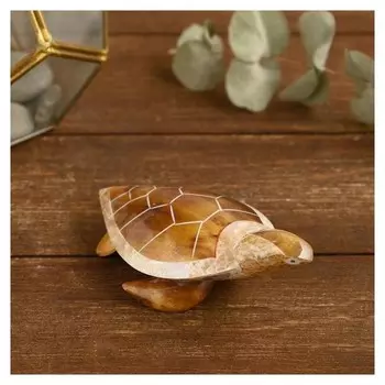 Сувенир из ракушки "Медовая черепашка" 12х7х4 см