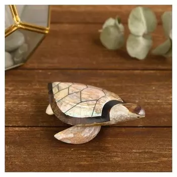 Сувенир из ракушки "Светлая черепашка" 12х7х4 см