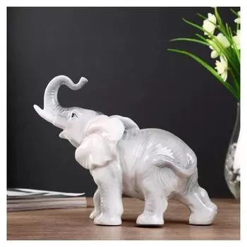 Сувенир керамика "Серый слон" 17х22х8,5 см