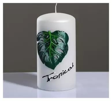 Свеча - цилиндр "Tropical" 6×11,5 см