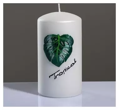 Свеча - цилиндр "Tropical", 8×15 см, белый жемчуг