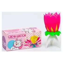 Свеча - цветок музыкальная, кошечка мари