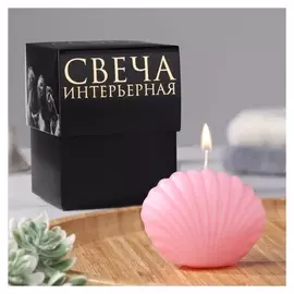 Свеча фигурная в подарочной коробке "Ракушка", 3,2х4,5 см, розовая