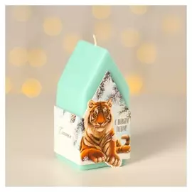 Свеча интерьерная в виде домика "Тигр",8*12 см