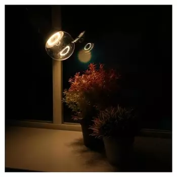 Светодиодная лампа для растений ( фитолампа дневного света ) Luazon 15 Вт, E27, 220в