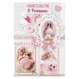 Свидетельство о рождении девочки Зайчик