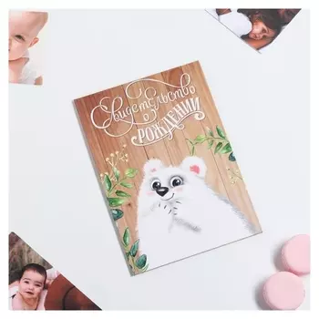 Свидетельство о рождении "Миша"