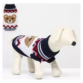 Свитер "Мишка", 2XL (ДС 41, ОШ 41, ОГ 36-60 см)