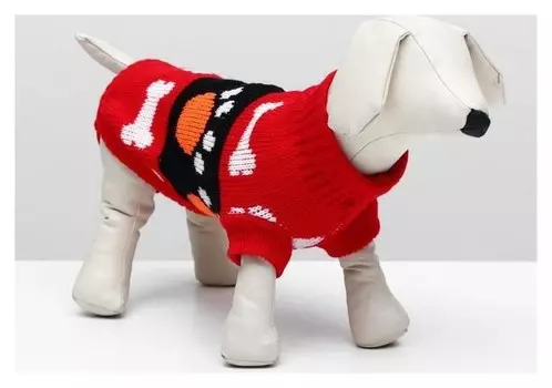 Свитер, размер 10 (30-34 см), расцветок