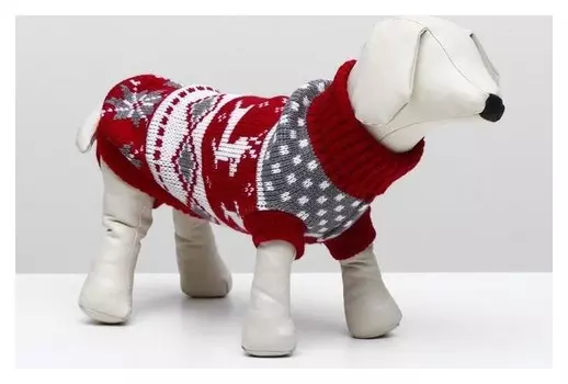 Свитер, размер 12 (30-34 см), расцветок