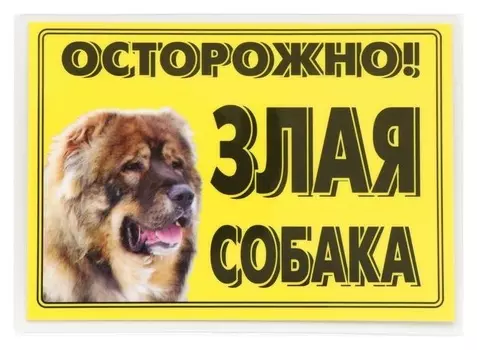 Табличка ламинированая "Осторожно! злая собака" кавказец