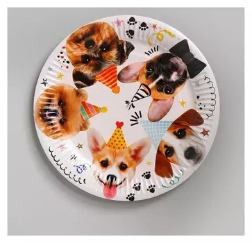 Тарелка бумажная «Собачки», 23 см, набор 6 шт.