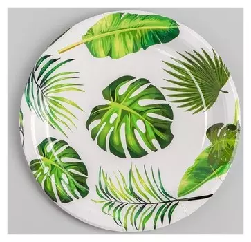 Тарелка бумажная «Тропики», набор 6 шт.