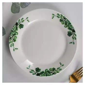 Тарелка десертная доляна «Эвкалипт», D=20,5 см