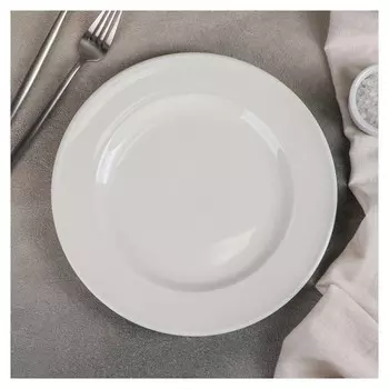 Тарелка обеденная D=25,5 см