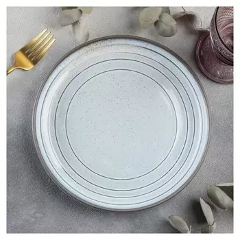 Тарелка обеденная Magistro Garland, D=22 см, цвет белый, синий