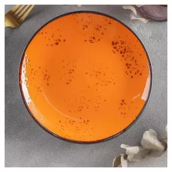 Тарелка обеденная «Созвездие», D=21 см