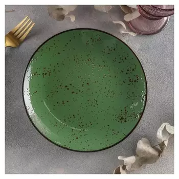 Тарелка обеденная «Созвездие», D=21 см