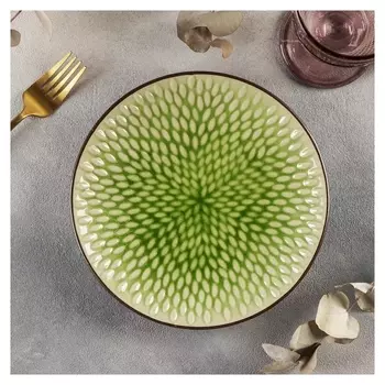 Тарелка обеденная «Таллула», 20,5×2,5 см, цвет зелёный