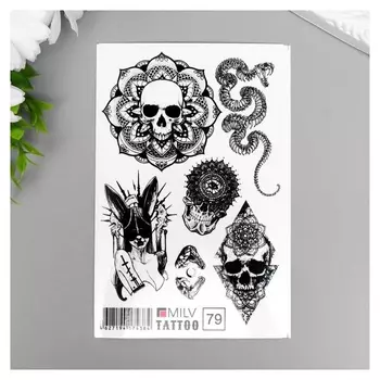 Татуировка на тело "Череп, змея" 10х15 см