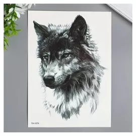 Татуировка на тело чёрная "Волк" 21х15 см