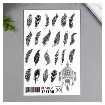 Татуировка на тело "Чёрные перья" 10х15 см