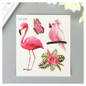 Татуировка на тело цветная "Фламинго и какаду" 8х7,5 см