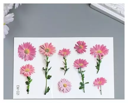 Татуировка на тело цветная "Герберы" 12х7,8 см