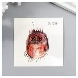 Татуировка на тело цветная "Маленький совёныш" 6х6 см