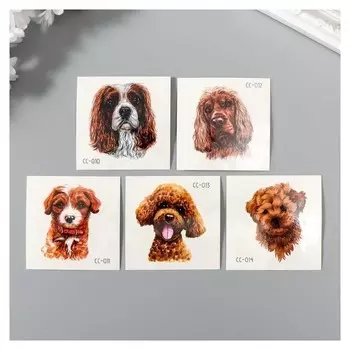 Татуировка на тело цветная "Породистая собака" 6х6 см