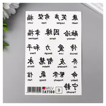 Татуировка на тело "Иероглифы" 10х15 см