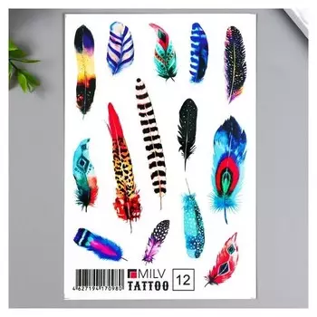 Татуировка на тело "Перья" 10х15 см