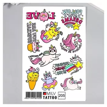 Татуировка на тело "Радужные котики" 10х15 см