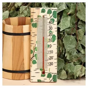 Термометр "Березка" 19,2х7 см