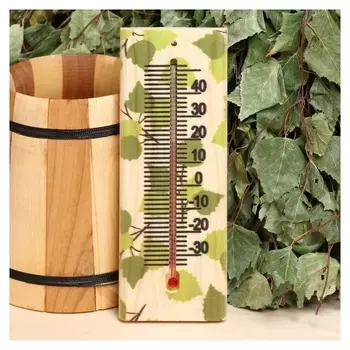 Термометр "Листья" 19,2х7 см