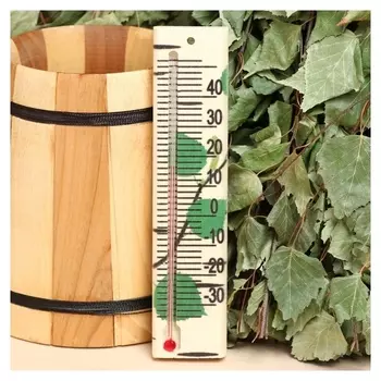 Термометр "Веточки" 16,4х4,1 см