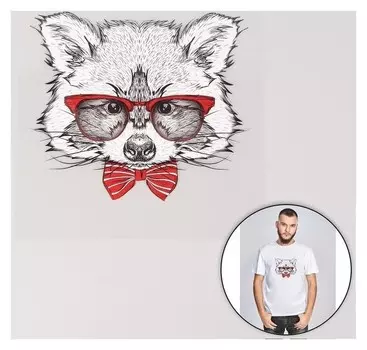 Термотрансфер «Енот в очках», 16,5 × 19 см