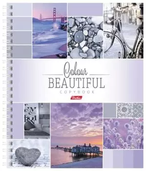 Тетрадь 120 л. клетка Color Line