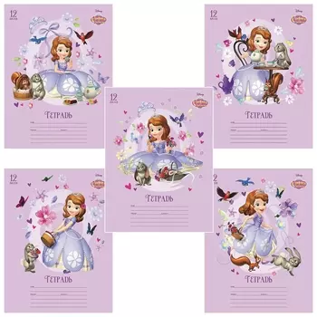 Тетрадь 12 л., Hatber, клетка, обложка картон, "София прекрасная" (5 видов в спайке), 12т5блв1